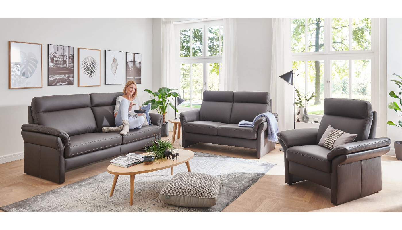 Klimatisiertes Smart-Sofa für höchsten Komfort Ihrer Haustiere